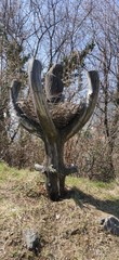 scultura