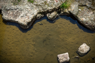 Formas abstractas para fondos y composiciones