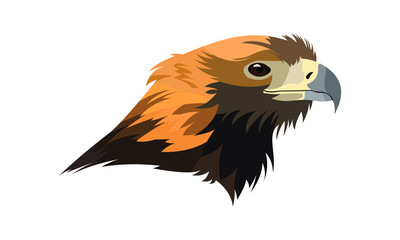 eagle head with originals colors
