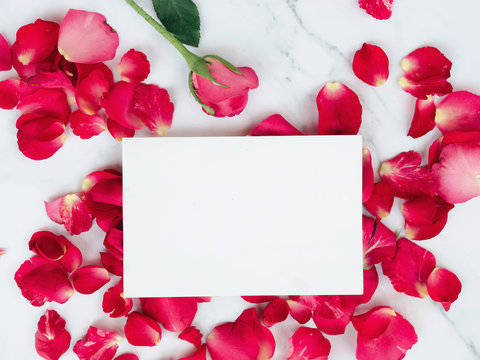 White paper postcard over rose flowers with space for text or image.