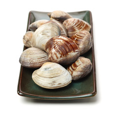 Stacked fresh raw clams on white background