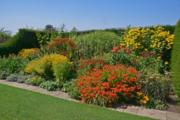 A colourful enclosed Garden 'Room' well planted with mixed planting including, crocosmia, heleniums, dahlias, coreopsis and rudbeckia and grasses