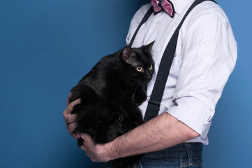 cropped view and side view of man in shirt, suspender and pink bow tie holding cute black cat on blue background with copy space