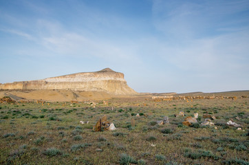 Mount Sherkala in the sunset light.