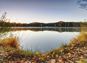 Mirroring of treetops in lake water level.