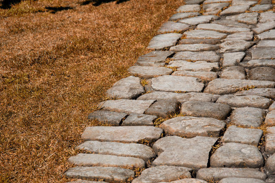 Yellow Brick Road. Fairy Tale And Beautiful Landscape.