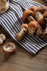 Fresh edible forest mushrooms