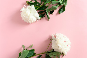Border frame made of white peonies