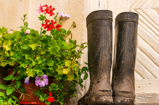 Muddy Rubber Boots Left In Outside The Door After Gardening Next To A Geranium Flower Pot. Farm Life Concept.