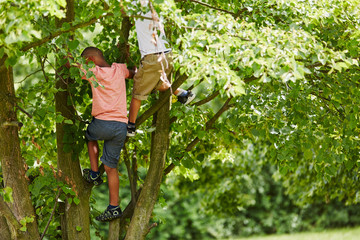Naklejka na ściany i meble Children climb tree