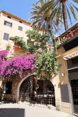 Stadtansichten palma de mallorca