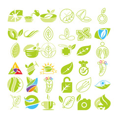 Leaf Logo Design Vector Template Set