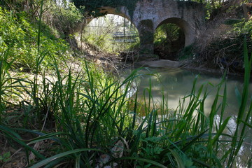 Fototapeta na wymiar ponte romano della urbis salvia