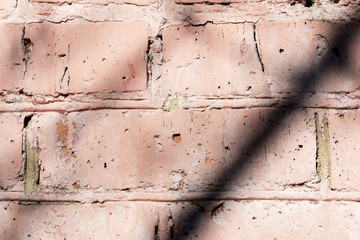 Obraz premium Old painted brick wall with shadows of branches on it on a sunny day.. Brick wall abstract background