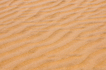 Fototapeta na wymiar Ripples in the sand 