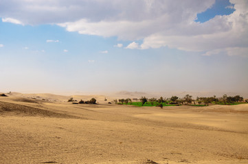 Fototapeta na wymiar An Oasis and sand storm in the desert