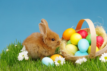 Little Bunny In Basket With Decorated Eggs. Easter Holyday Concept.