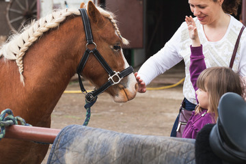 Little girl with mother and brown horse