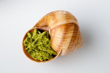 Large Escargots de Bourgogne Snails baked with garlic butter on light background. Studio shot with reflection Healthy food concept with copy space.