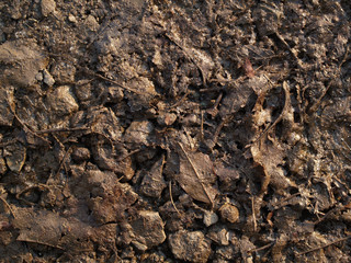 texture of soil