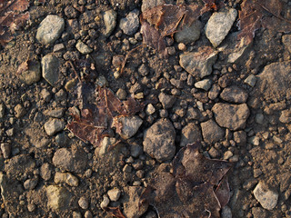 texture of soil