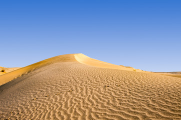 sand dunes in the Sahara desert