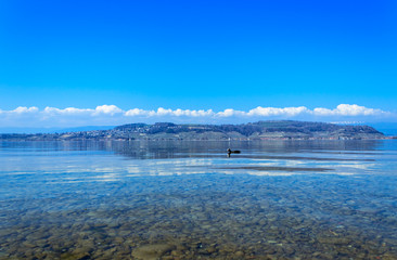 lake murten with mont vully in the back