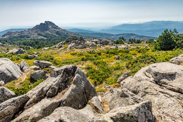 Landscape Monte Limbara Sardinien