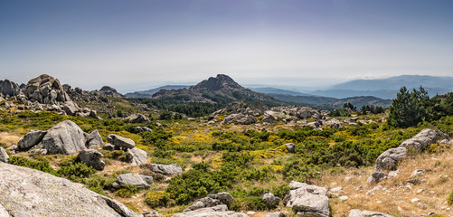 Fototapeta na wymiar Landscape Monte Limbara Sardinien
