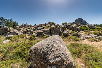 Landscape Monte Limbara Sardinien