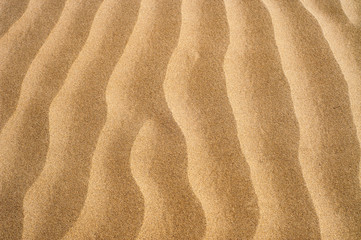 texture of sand
