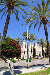 Stadtansichten palma de mallorca
