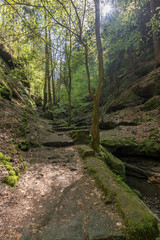 Fototapeta na wymiar National park Elbsandsteingebirge Germany