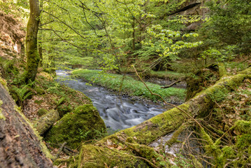 National park Elbsandsteingebirge Germany