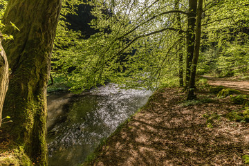 Fototapeta premium National park Elbsandsteingebirge Germany