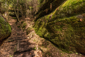 National park Elbsandsteingebirge Germany