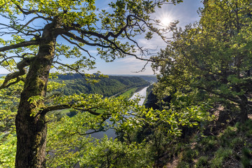 Obraz premium National park Elbsandsteingebirge Germany