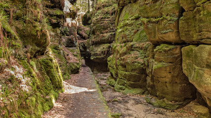 National park Elbsandsteingebirge Germany