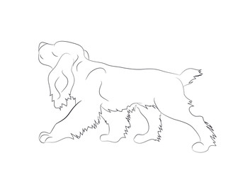 dog running, lines, vector