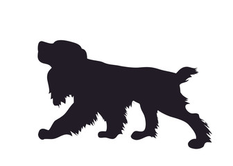 dog runs silhouette, vector