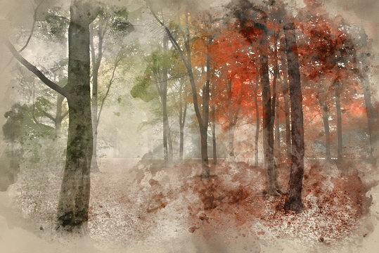 Watercolour painting of Seasons changing from Summer into Autumn Fall concept shown in one forest landscape image