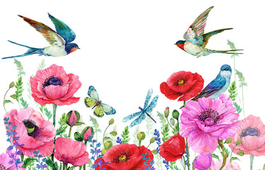 Beautiful floral background for postcards, red poppies and birds swallows . Watercolor illustration