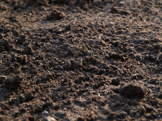 texture of soil