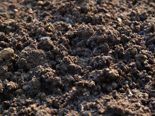 texture of soil