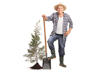 Mature farmer posing with a shovel next to a planted tree