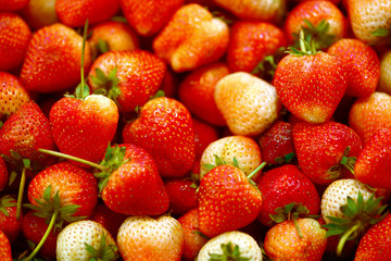 Fresh strawberry organic fruit macro background.