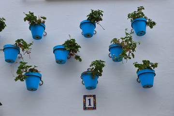 niebieskie doniczki wiszące na białej ścianie