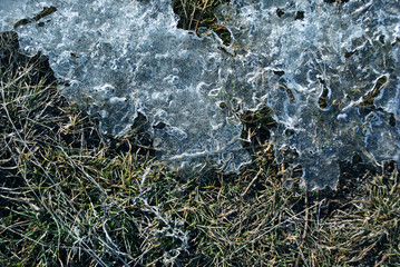 Melting ice close up detail on spring grass, natural background top view