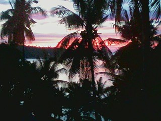 Fototapeta na wymiar Coucher de soleil palmiers mer cocotiers