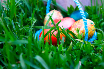blue basket with easter eggs standing on a green grass near the stump